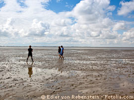 Wattwanderung an der Nordsee